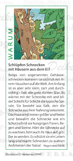 Schlüpfen Schnecken mit Häusern aus dem Ei?