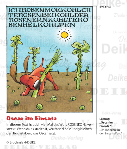 Rosenkohl - Oscar der schlaue Dackel KW 4724