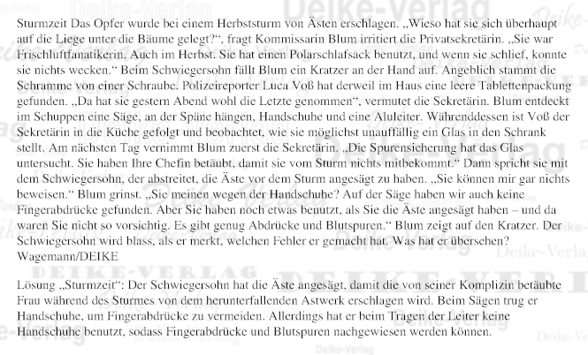 Sturmzeit - Rätselkrimi (Liz Blum)