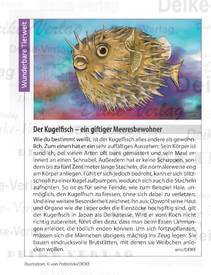 Der Kugelfisch
