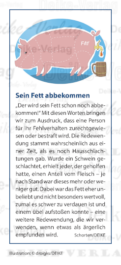 sein Fett abbekommen