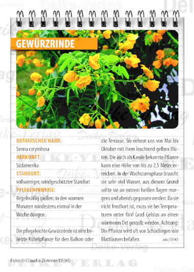 Garten und Pflanzen: Gewürzrinde