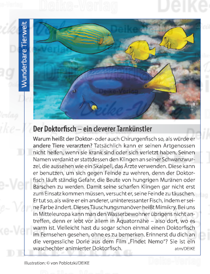 Der Doktorfisch – ein cleverer Tarnkünstler