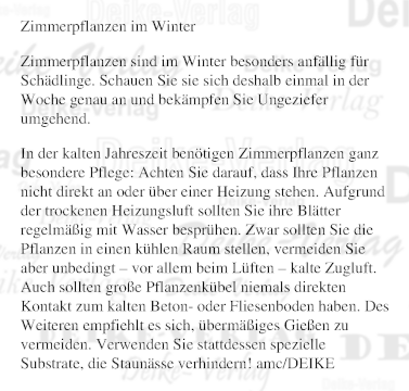 Zimmerpflanzen im Winter