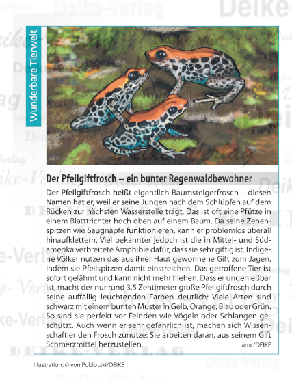 Der Pfeilgiftfrosch – ein bunter Regenwaldbewohner