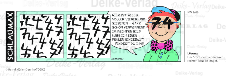 Fehlerbild - Schlaumax KW 3619