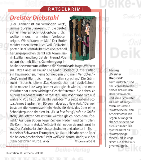 Dreister Diebstahl (Liz Blum)