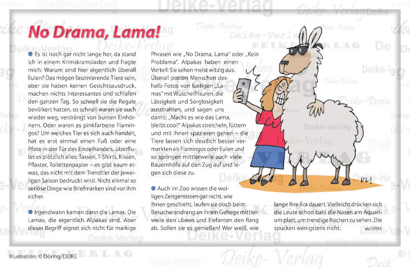 No Drama; Lama