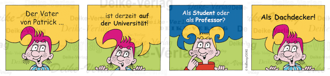 Dachdecker - Die Pfiffigs