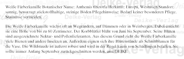 Garten und Pflanzen: Weisse Färberkamille