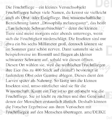 Die Fruchtfliege – ein kleines Versuchsobjekt