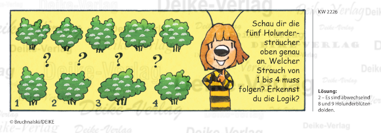 Holunder - Irmi die Rätselbiene KW 2226