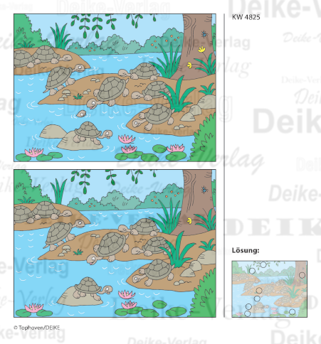 Schildkröten - Fehlerbilder KW 48