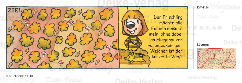 Pilzlabyrinth -  Irmi die Rätselbiene KW 4124