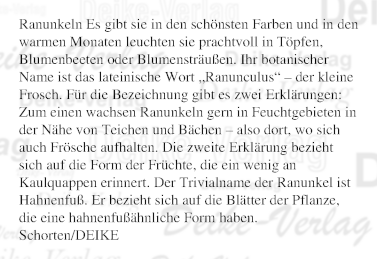 Ranunkeln
