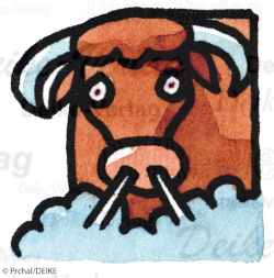 (08) Sternzeichen Stier  