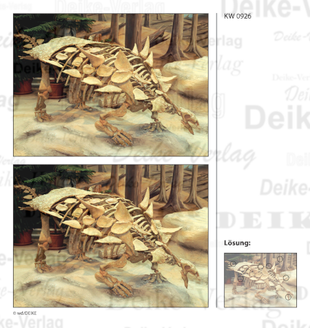 Skelett - Fehlerbilder KW 0926