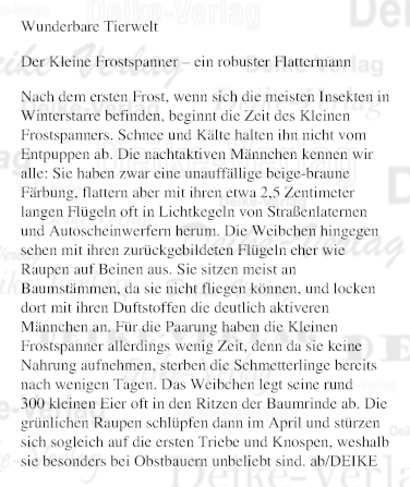 Der Kleine Frostspanner – ein robuster Flattermann