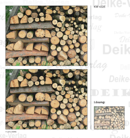 Holz - Fehlerbilder KW 4325