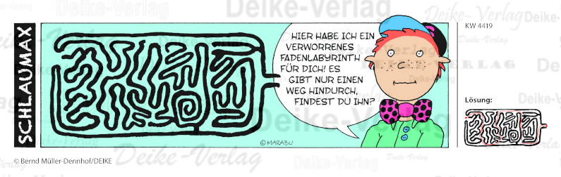 Labyrinth - Schlaumax KW 4419
