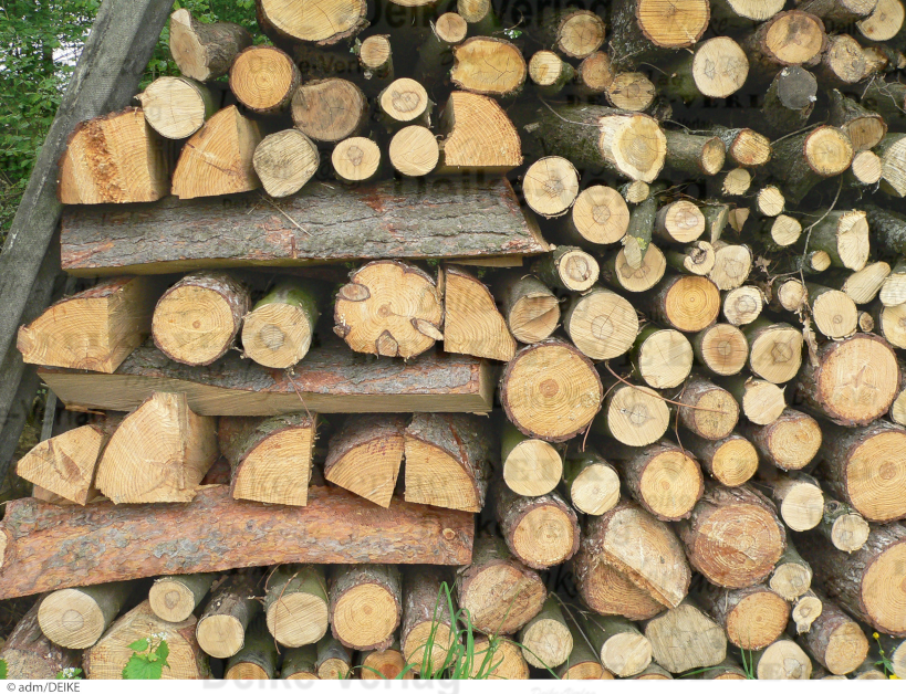 Holzstapel