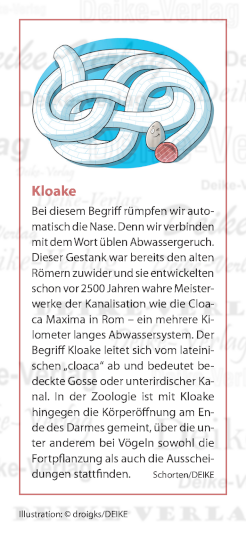 Kloake