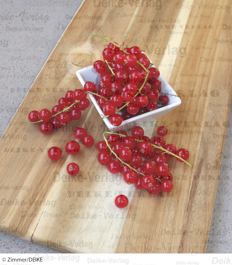 Johannisbeeren rot 