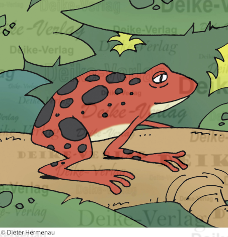 roter Frosch