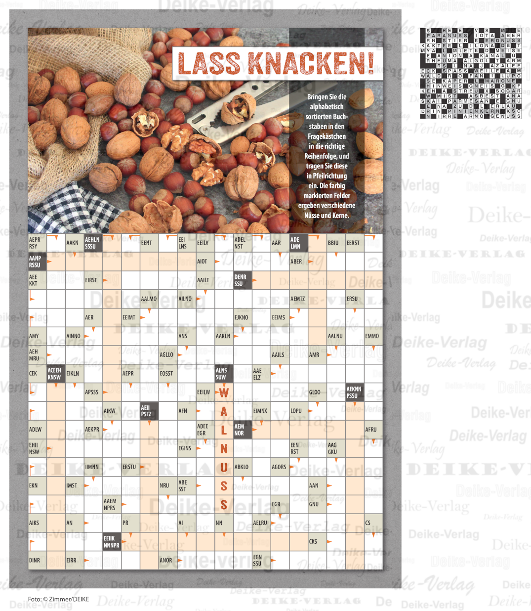 Nüsse (Schüttelschwede) DIN A4