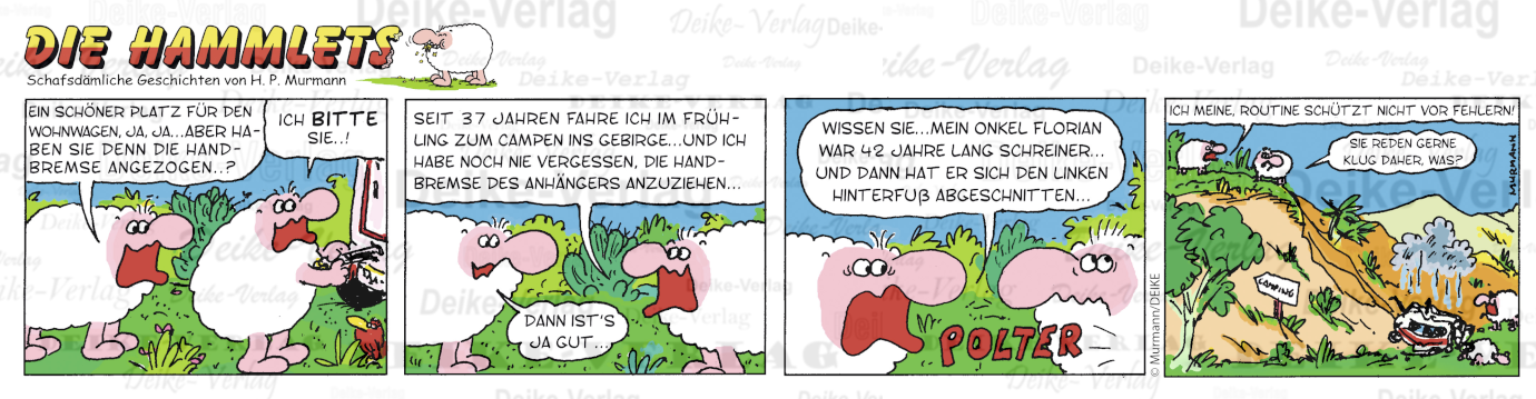 Platz für den Wohnwagen - Hammlets