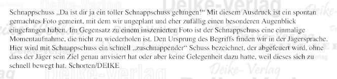 Schnappschuss