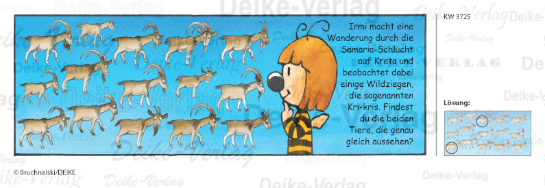 Steinböcke - Irmi die Rätselbiene KW 3725