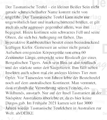 Der Tasmanische Teufel – ein kleiner Beißer