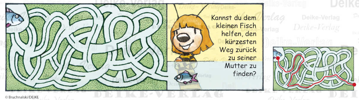 Fischlabyrinth - Irmi die Rätselbiene KW 3225