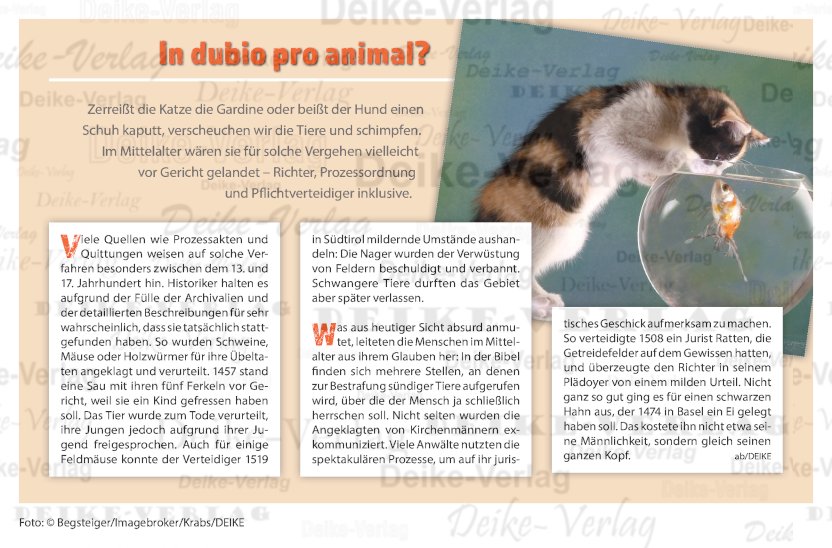 In dubio pro animal?