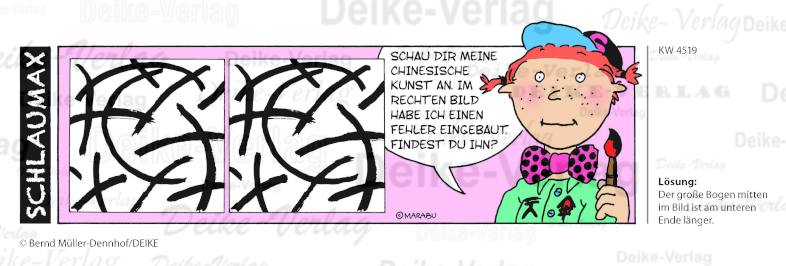 Fehlerbild - Schlaumax KW 4519