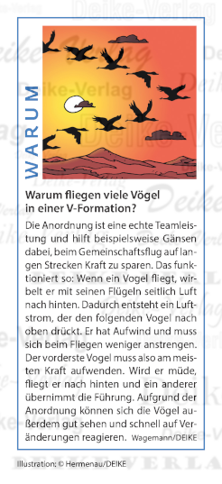 Warum fliegen viele Vögel in einer V-Formation?