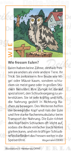 Wie fressen Eulen?