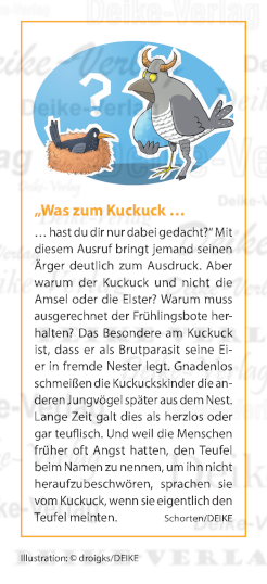 „Was zum Kuckuck …