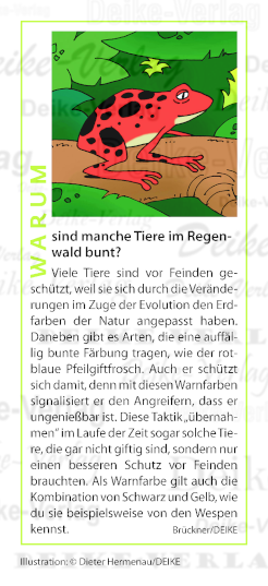 Warum sind Tiere im Regenwald so bunt?