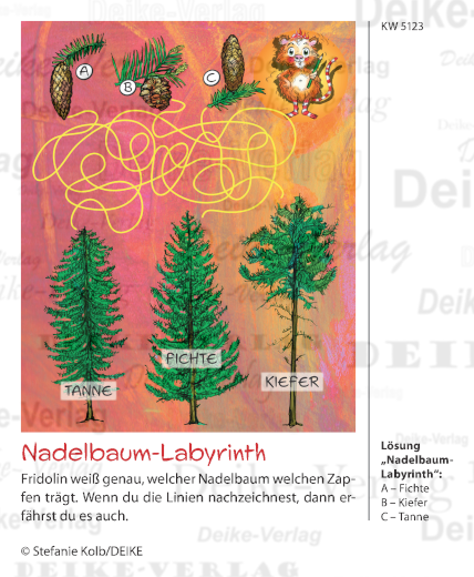 Nadelbaum Labyrinth - Der fabelhafte Fridolin KW 5123