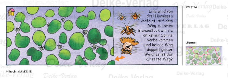 Hornissenlabyrinth - Irmi die Rätselbiene KW 2224