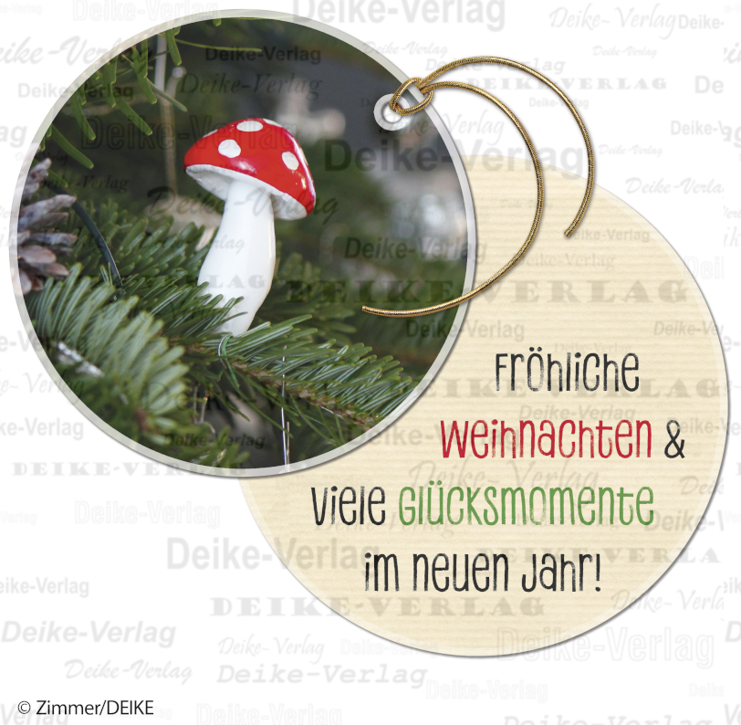 Fröhliche Weihnachten und viele Glücksmomente im neuen Jahr