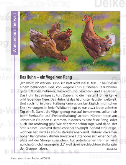 Das Huhn – ein Vogel von Rang