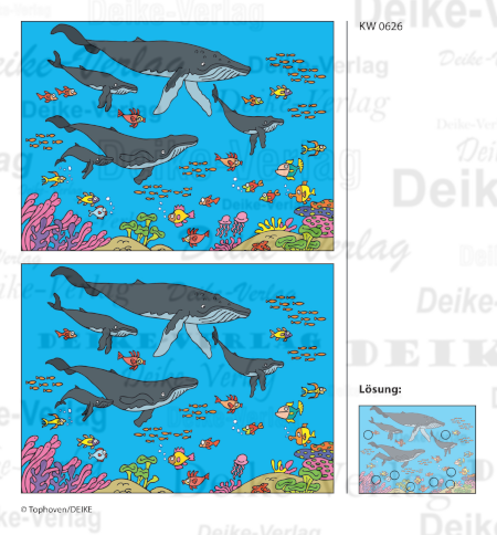 Wale - Fehlerbilder KW 0626
