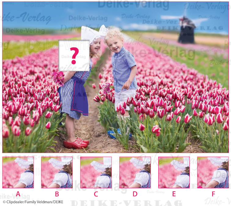 Tulpenmeer - Ausschnitträtsel