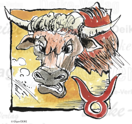 (24) Sternzeichen Stier 