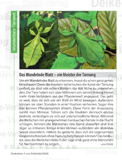 Das Wandelnde Blatt – ein Meister der Tarnung