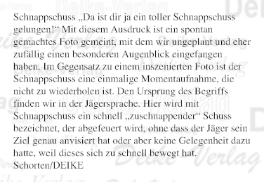 Schnappschuss