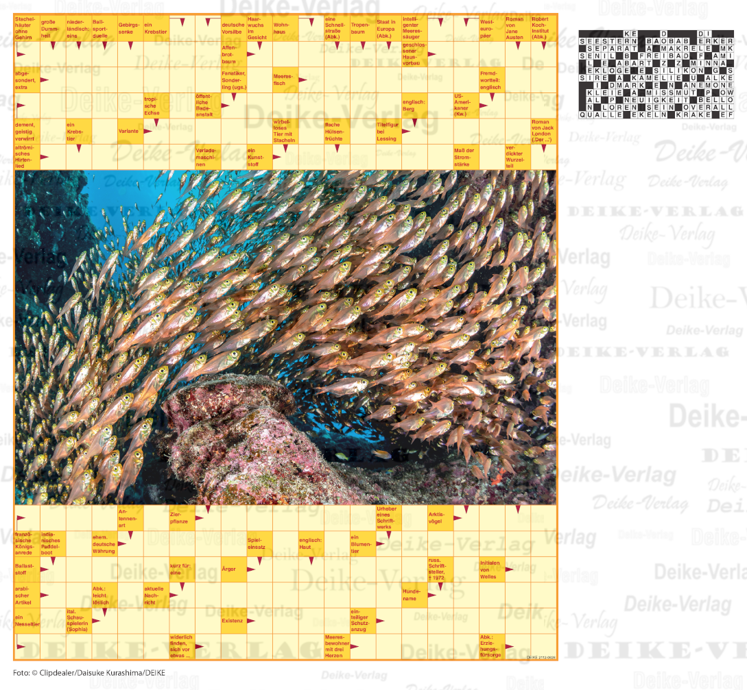 Makrelenschwarm (Schwedenrätsel)